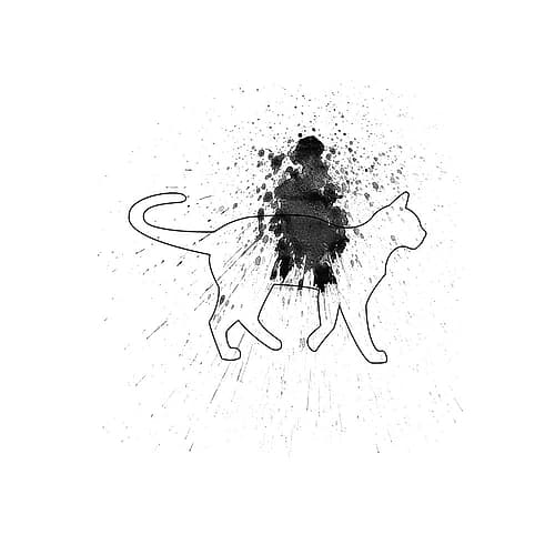 Catty Swag Animaux reproduction