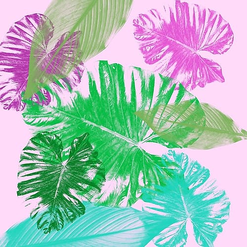 Tropical Taste Art Print