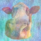Can You Moo Art Print