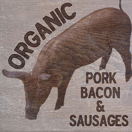 Organic Art Print