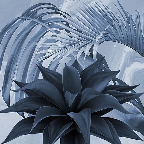 Tropical Floral 3 Art Print