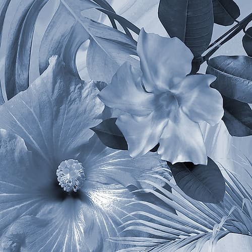 Tropical Floral 4 Art Print