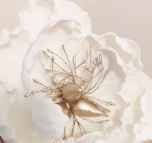 Bellarosa Art Print