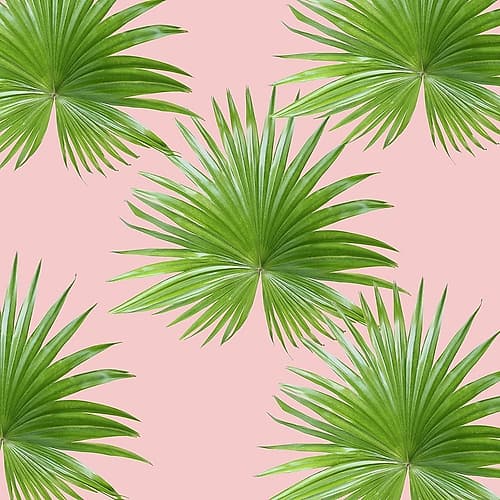 Mellow Mood 1 Nature Print