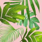 Mellow Mood 3 Art Print