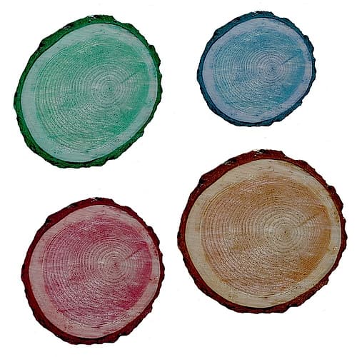 Old Rings 2 Art Print