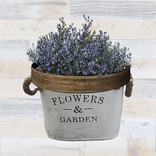 Flowers and Garden Art Print