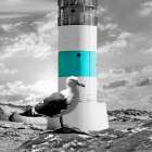 Lighthouse Art Print