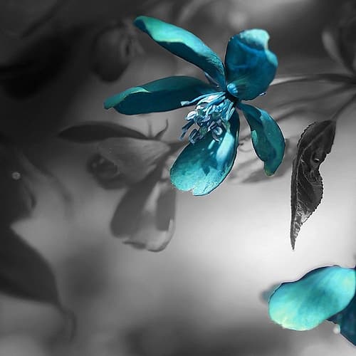 Teal Art Print