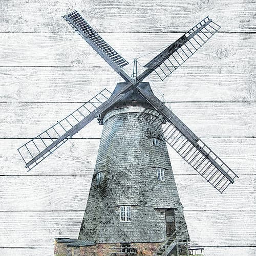Wind Mill B Art Print