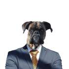 Ruff Top Art Print