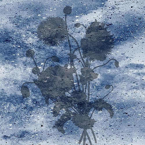 Midnight Bloom 2 Art Print