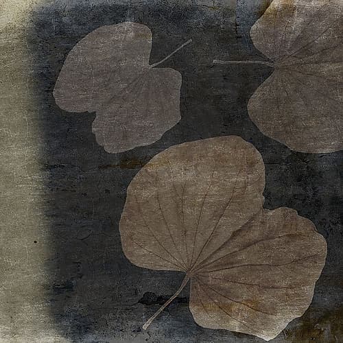 Natural Gold Eath Art Print