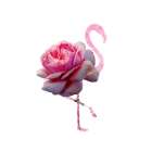 Flamingo Dress 6 Art Print