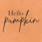Pumpkin Art Print