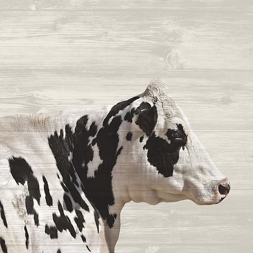 Moo 2 Art Print