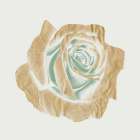 Copper Rose 1 Art Print