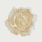 Copper Rose 3 Art Print
