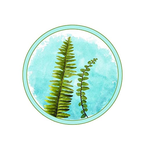 Fern Coastal Print