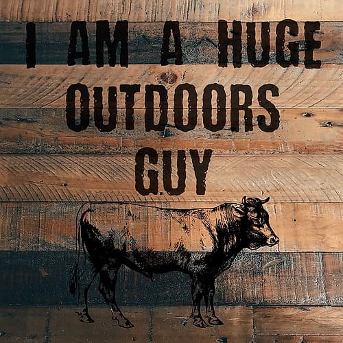 Bull Art Print