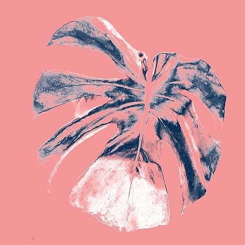 Tropic Leaf 4 Art Print