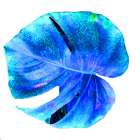 Blue Pacific 2 Art Print