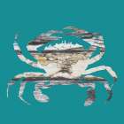 Blue Crab Art Print