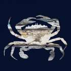 Blue Crab 2 Art Print
