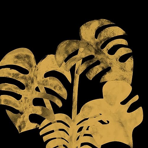 Fern Art Print