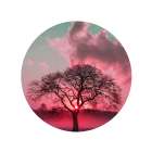 Nature Art Print