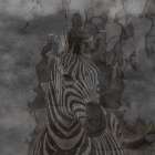 Zebra Abstract Art Print