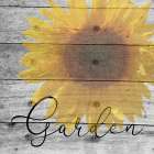 Sunflower 2 Art Print