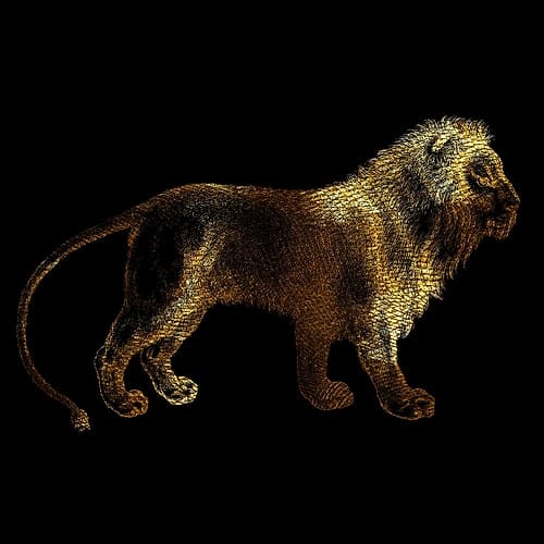 Lion Animals Print