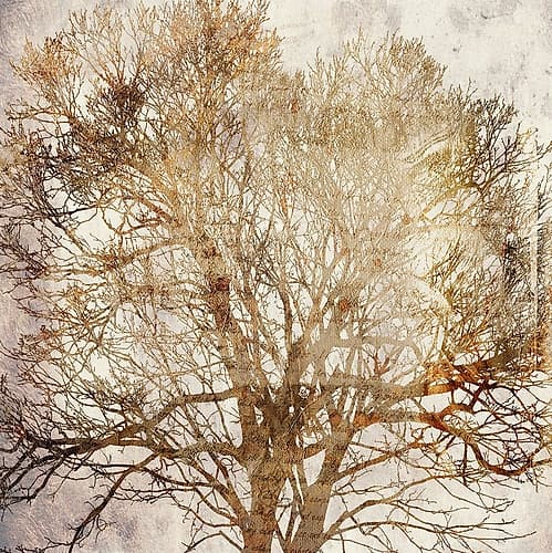 Memory Tree Art Print