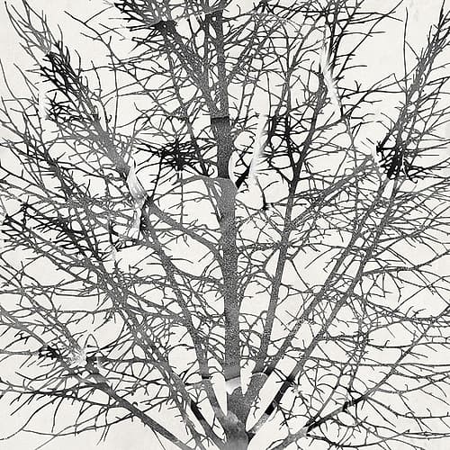 Window View Landscape Print