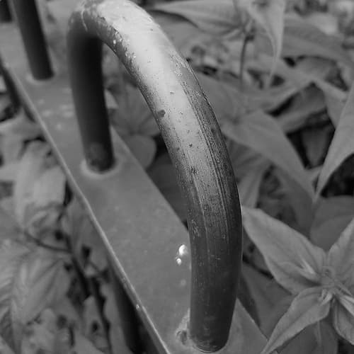 Brass Photography Print