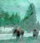 Migration Art Print