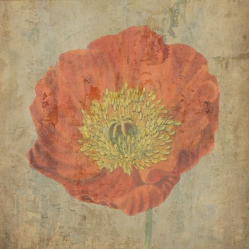 Painted Garden 1 Art Print