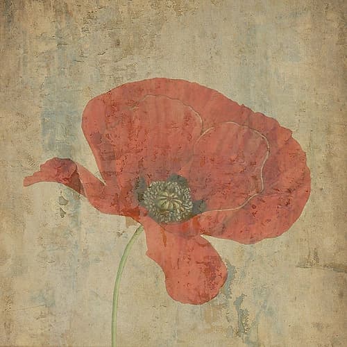Painted Garden 2 Art Print
