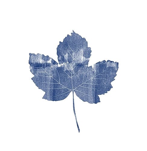 Blue For You Art Print