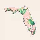 Florida Map Art Print