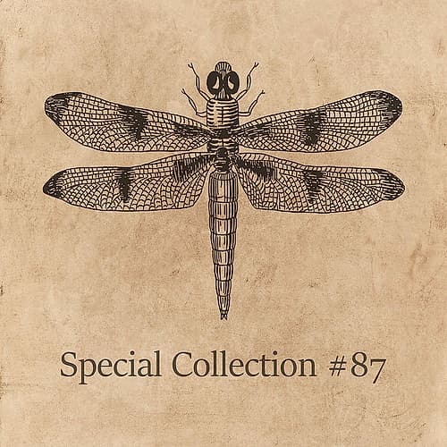 Special Collection 87 Art Print