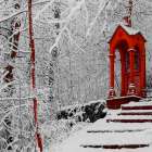 Red Winter Art Print