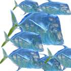 Fishes Art Print