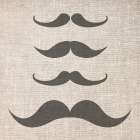 Brostache 2 Bathroom Art Print