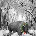 Christmas Buffalo Art Print