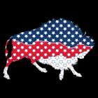 American Bison Art Print