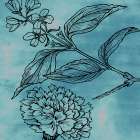 Garden In Bloom C Art Print