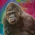 Crazy Zoo Art Print