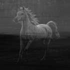 Misty Horse Art Print